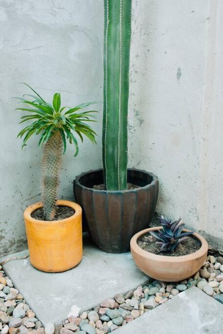 Charming 3Br Oasis, 5 Min Fr Usa - Ac In Every Rm Ciudad Juárez Eksteriør billede